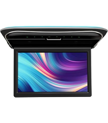 Amazon.co.jp: Absolute DFL4008IRG 9.5-Inch TFT-LCD Overhead Flip
